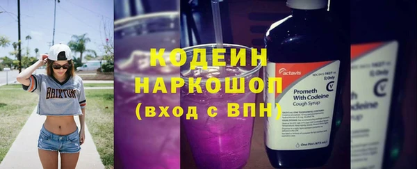круглые Корсаков