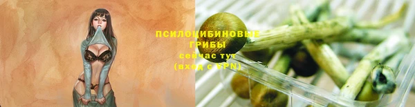 круглые Корсаков