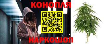 ПСИЛОЦИБИНОВЫЕ ГРИБЫ Заволжье