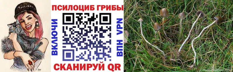 купить наркотик Карталы Псилоцибиновые грибы прущие грибы