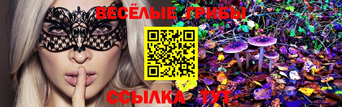 Карталы  Псилоцибиновые грибы Psilocybine cubensis  Вход с VPN  Псилоцибиновые грибы мухоморы 